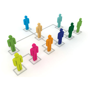 Native SAP SuccessFactors roles and permissions Native SAP SuccessFactors roles and permissions